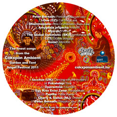 Amygdala Projects - HAARP