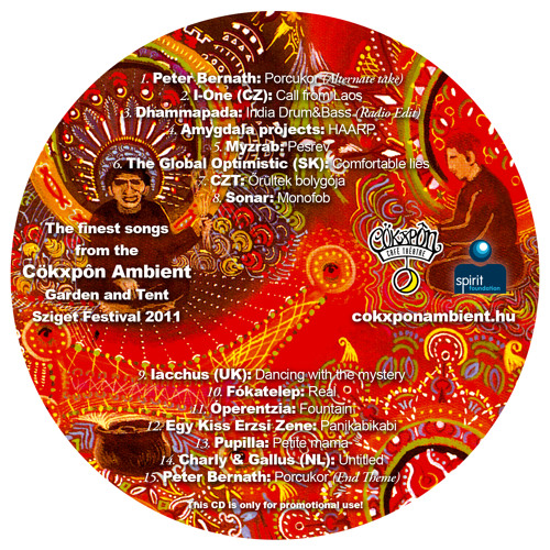 Amygdala Projects - HAARP