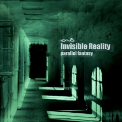 NeDJo - Invisible Reality ( Electronica, Psy)