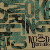 when-i-was-young-the-wood-brothers