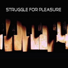 Struggle for pleasure - Cristian Carissimi feat. Wim Mertens
