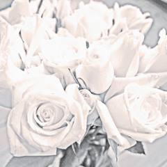 Korallreven - 02 - Honey Mine (Lissvik Remix)