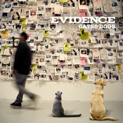 Evidence - Late For The Sky feat. Slug and Aesop Rock (Radio Rip)