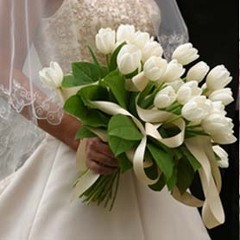 Here She Comes (Bride's Entrance Song)