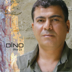 Dino - Şev
