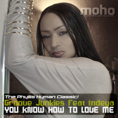 Groove Junkies ft. Indeya You Know How to Love Me Snip