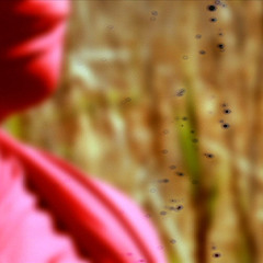 Underlapper - those six skeletons (ben kinsman's no balloon no party remix)