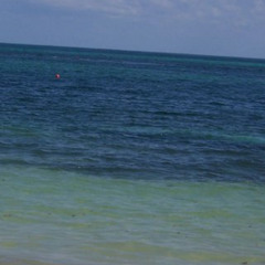 You Blew It (very rough)