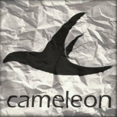 Cameleon -Nedmet- Remix