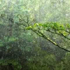 DoTcOm- Rain on me (early version prototype) (2011)