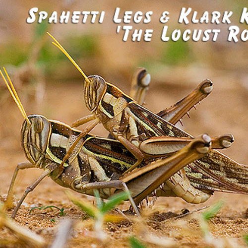 Spaghetti Legs & Klark Kent - The Locust Romp