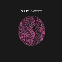 Sully - Trust
