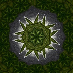 #include - Shiva (scratch track)