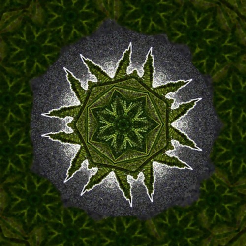 #include - Shiva (scratch track)