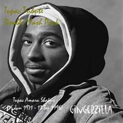 Enemies with Waterfalls (TLC vs 2PAC)