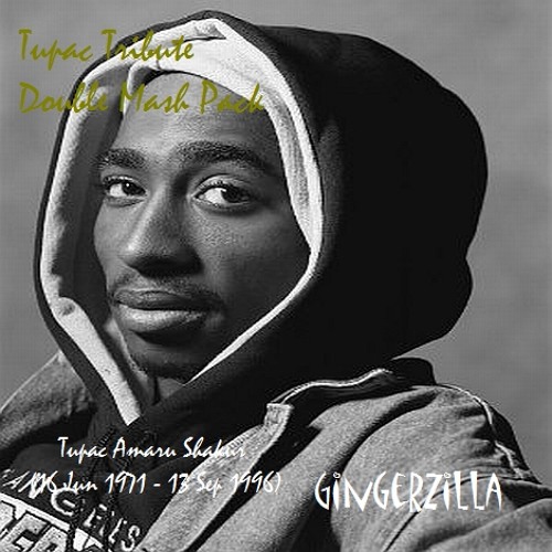 Enemies with Waterfalls (TLC vs 2PAC)
