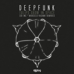 Deepfunk - Tulips Grow in Space (Marcelo Vasami Remix)