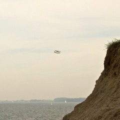 Deer - Live at Ø 2011