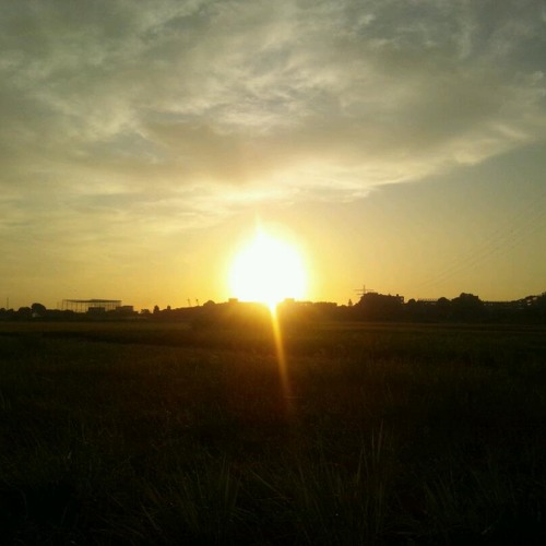 a sunrise on the veld essay Life’s uncontrollable aspects in lessing’s by: michael s “a sunrise on the veld” as kids we all experience important moments in our lives, whether they’re. a sunrise on the veld essay Life’s uncontrollable aspects in lessing’s by: michael s “a sunrise on the veld” as kids we all experience important moments in our lives, whether they’re.