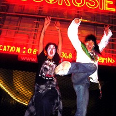 CocoRosie "K-Hole" live @ l'olympia, Paris, 09-27-2007