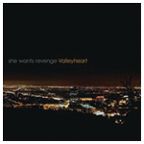 She Wants Revenge "Take The World" (G's 12" Extended Remix)