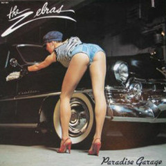 The Zebras-Paradise Garage (Alvaro Cabana Re-edit)