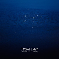 Rabitza - Insight Flow [Ambione Foundation] 2008