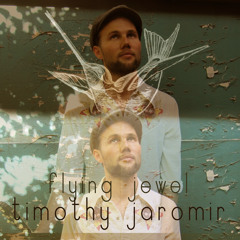 Timothy Jaromir - Feathers