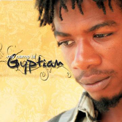 Gyptian-Hold You feat. Don Omar & Natasha (Official Remix)
