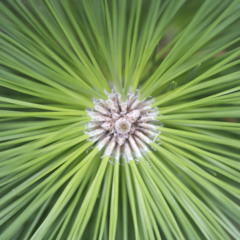 Reflexiones, Pastor Milton Méndez