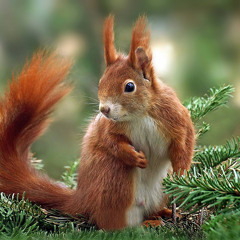 Schmidt und Schnittchen - Zeit zu gehen