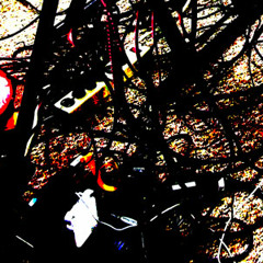 Atmosphera- Live at Electro-Music 2011