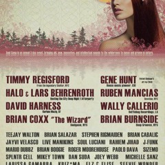 Wally Callerio LIVE @ SoulCamp12