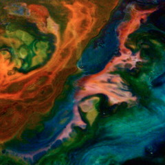 Over Us & Everyone We Know