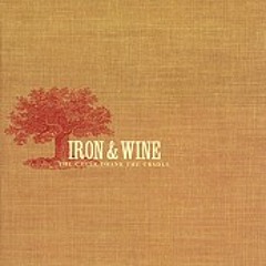 Iron and Wine - Faded From the Winter (Solus Shimmer Dub)