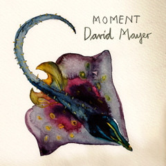 David Mayer - Moment (Extract)