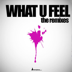 Deadmau5 vs ATFC - What U Feel (Jay McCracken Higher Mash)