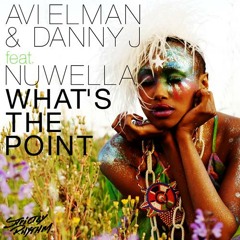 Whats The Point - Avi Elman (UPZ) & Danny J feat. Nuwella (Strictly Rhythm)