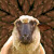 Artwork for Ewe and Eye