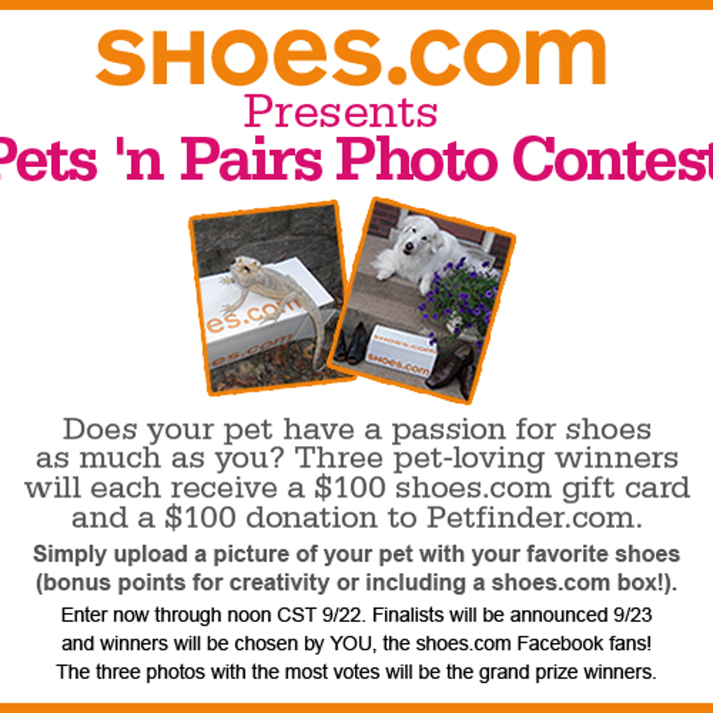SHOES.COM Contest Interview
