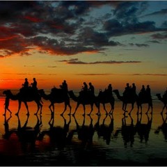 حي الله اللي يغيب ويسرع الردّه - للشاعر: سليمان بن شريم