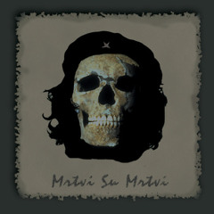 Damir Avdić - Komunist vs Nju Bosniše Kultural Revolušn