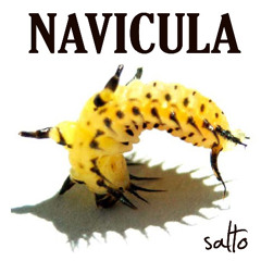 Navicula – Over Konsumsi