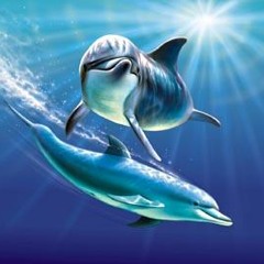Dolphin