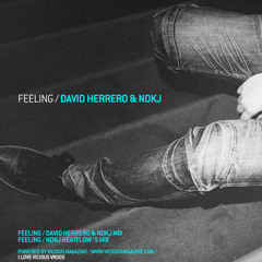 VR005 / David Herrero & NDKJ - Feeling (NDKj Heatflow Mix)