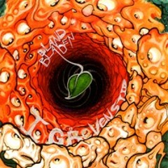 Blandbladen - Pa Gron Kvist