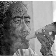 Something for your gran