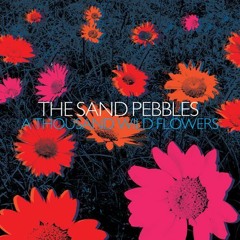 The Sand Pebbles - 'Future Proofed'