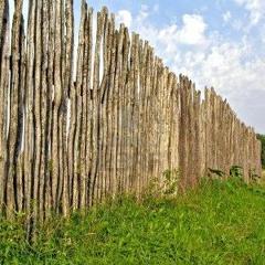 I Didn't Expect To Find A Fence Like This Here