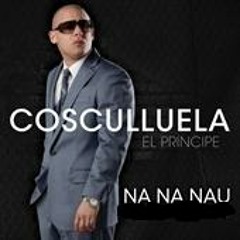 NAU NAU NAU - COSCULLUELA - PUNTEO NUEVO ! - DJ PITY ™